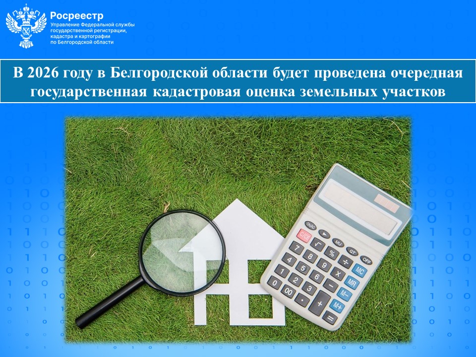 В 2026 году в Белгородской области будет проведена очередная государственная кадастровая оценка земельных участков.
