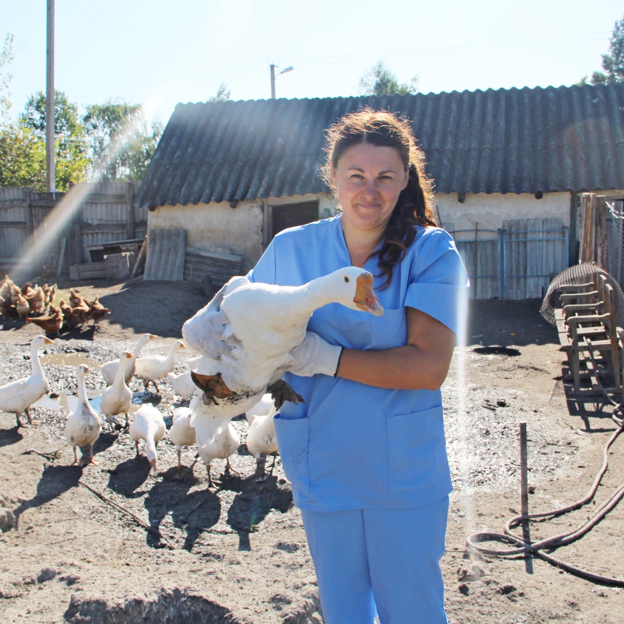 Анна Коваленко из села Безгодовка увеличила поголовье домашней птицы.
