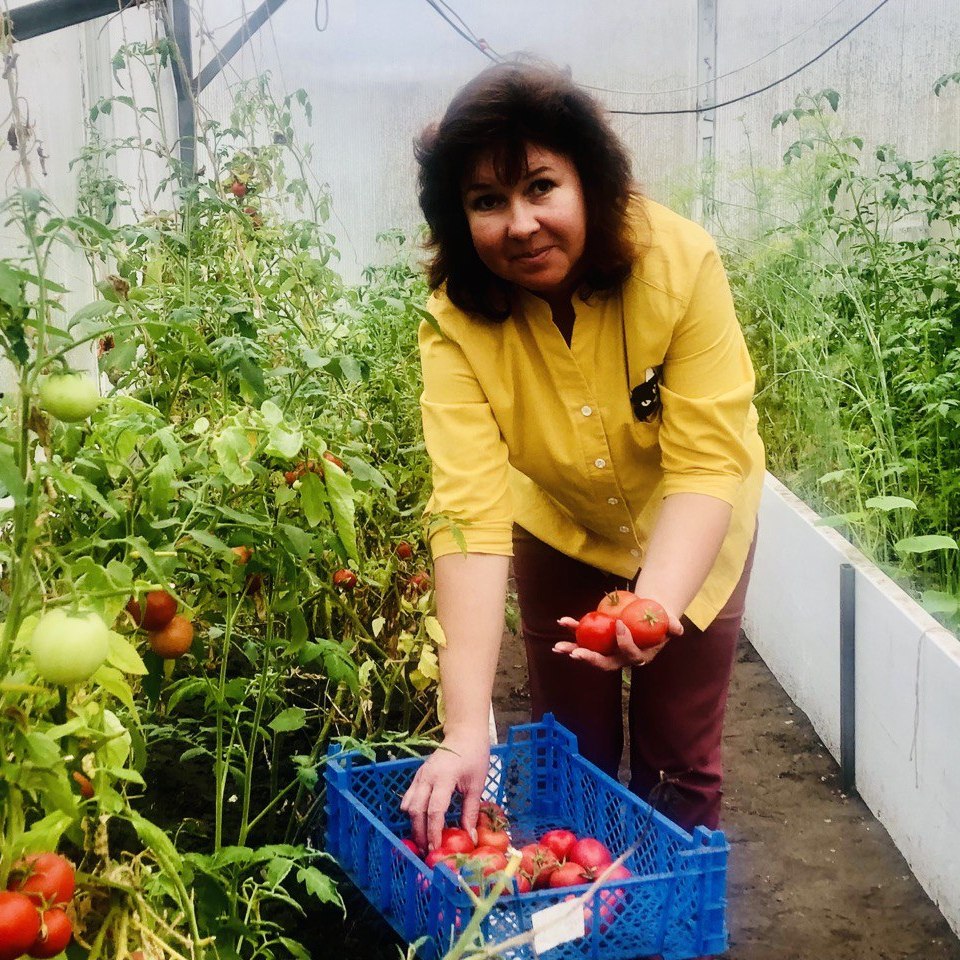 Оксана Енина из села Принцевка заключила социальный контракт на овощеводство и растениеводство.