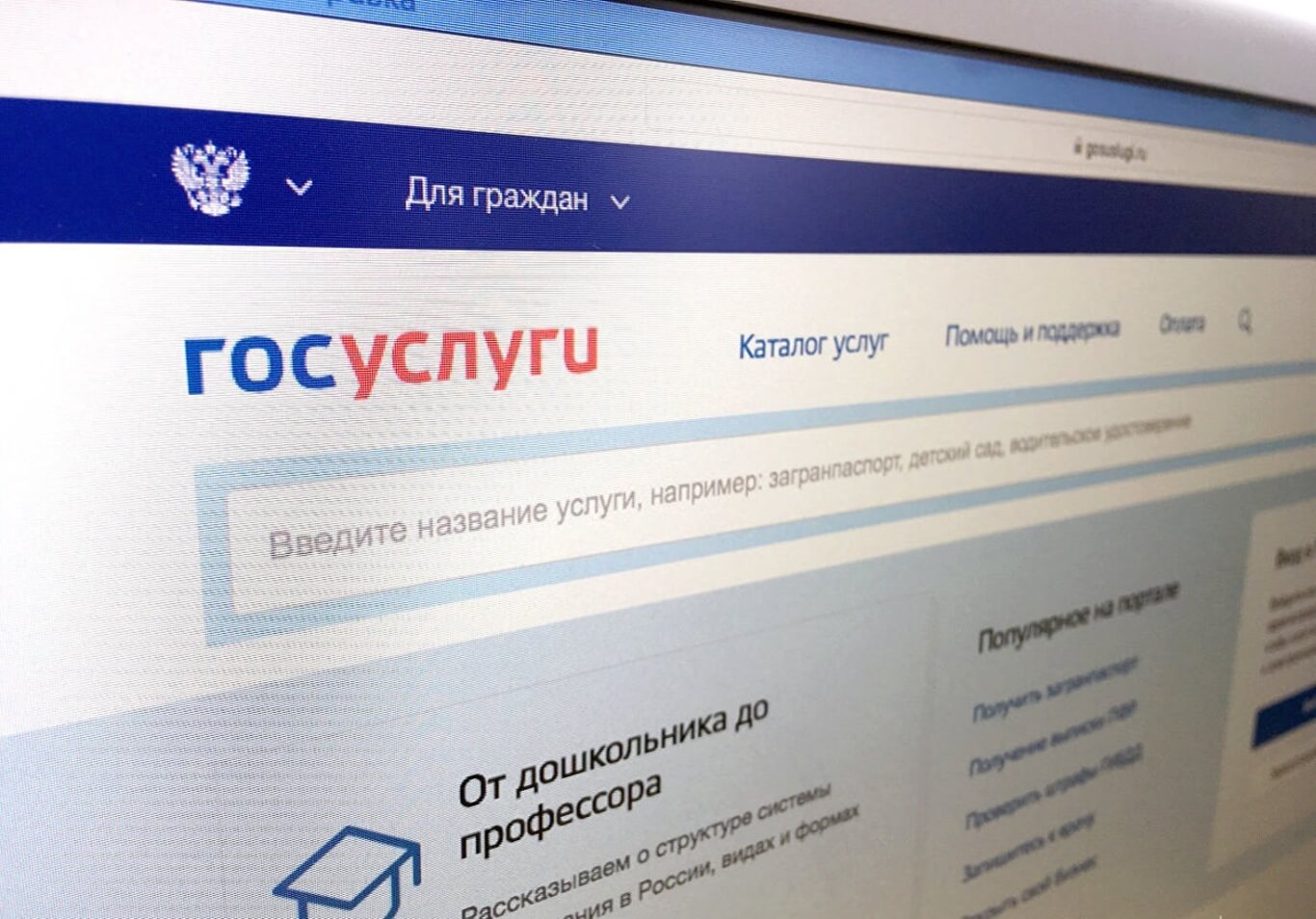Получить услугу «Предоставление земельных участков в собственность бесплатно» можно через портал Госуслуг .