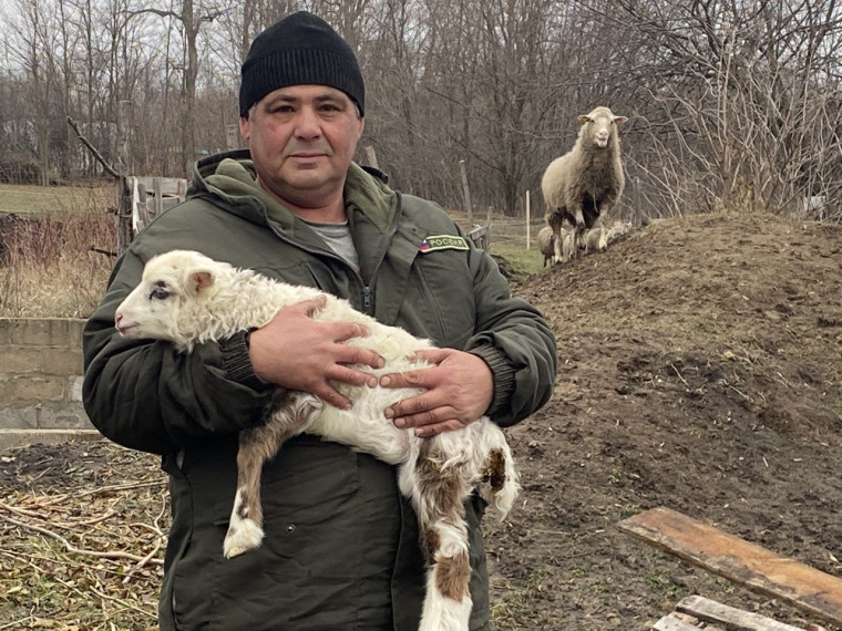 Где Купить Корсет В Белгороде