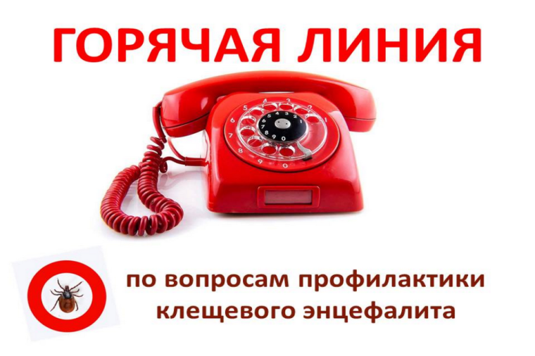 Вниманию жителей Валуйского городского округа. Вниманию жителей Валуйского городского округа.