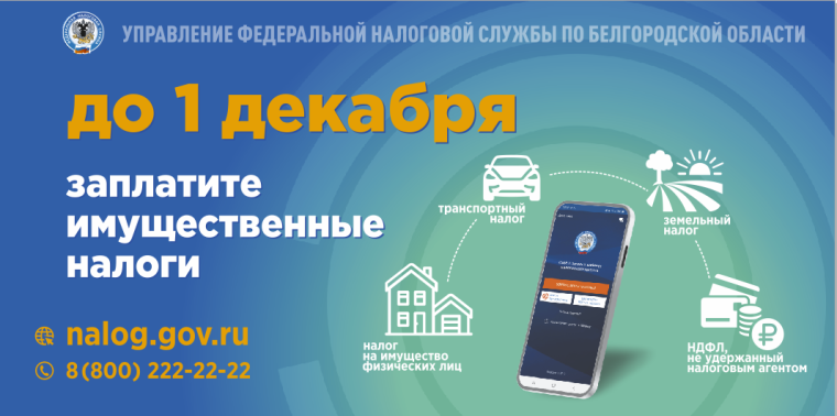 Уплатить имущественные налоги нужно не позднее 1 декабря . Уплатить имущественные налоги нужно не позднее 1 декабря .